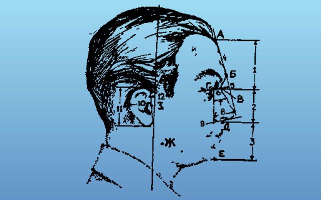 Портретные экспертизы